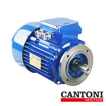 Imagen de Motores Eléctricos con brida B14 - Cantoni