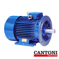 Imagen de Motores Eléctricos con brida B5 - Cantoni