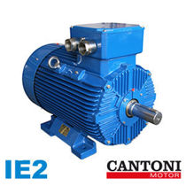 Imagen de Motores Eléctricos Serie IE2 - Cantoni