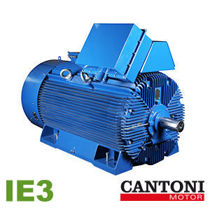 Imagen de Motores Eléctricos Serie IE3 - Cantoni