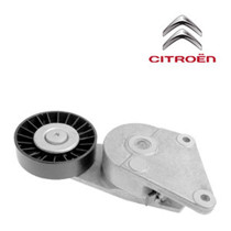 Imagen de Tensores y poleas para CITROEN