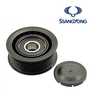 Imagen de Tensores y poleas para SSANGYONG